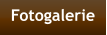 Fotogalerie
