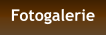 Fotogalerie