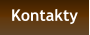 Kontakty
